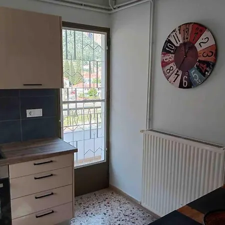 Happy * לאונידיון