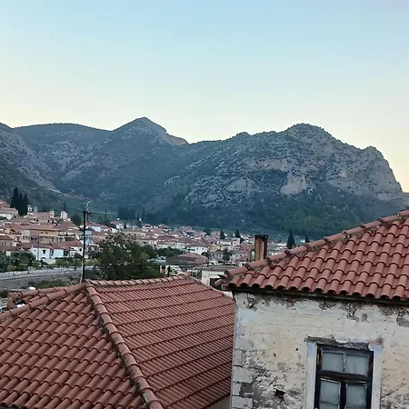 Happy * לאונידיון