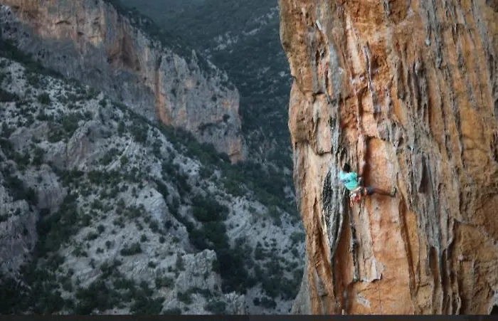 Happy アパート *